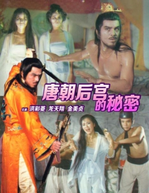 唐朝后宫的秘密封面图