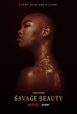 美丽破坏者 第一季封面图