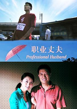 职业丈夫封面图