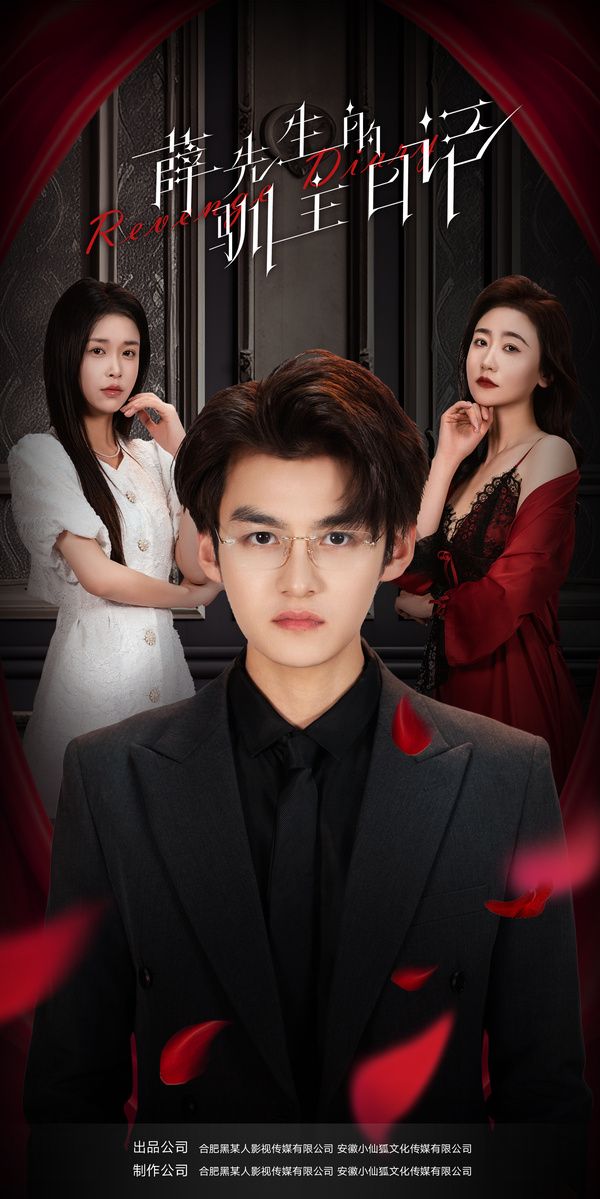 薛先生的驯主日记封面图