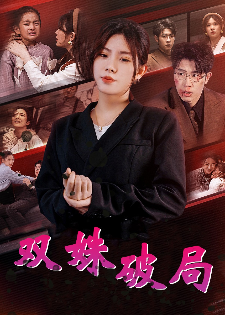 双姝破局封面图