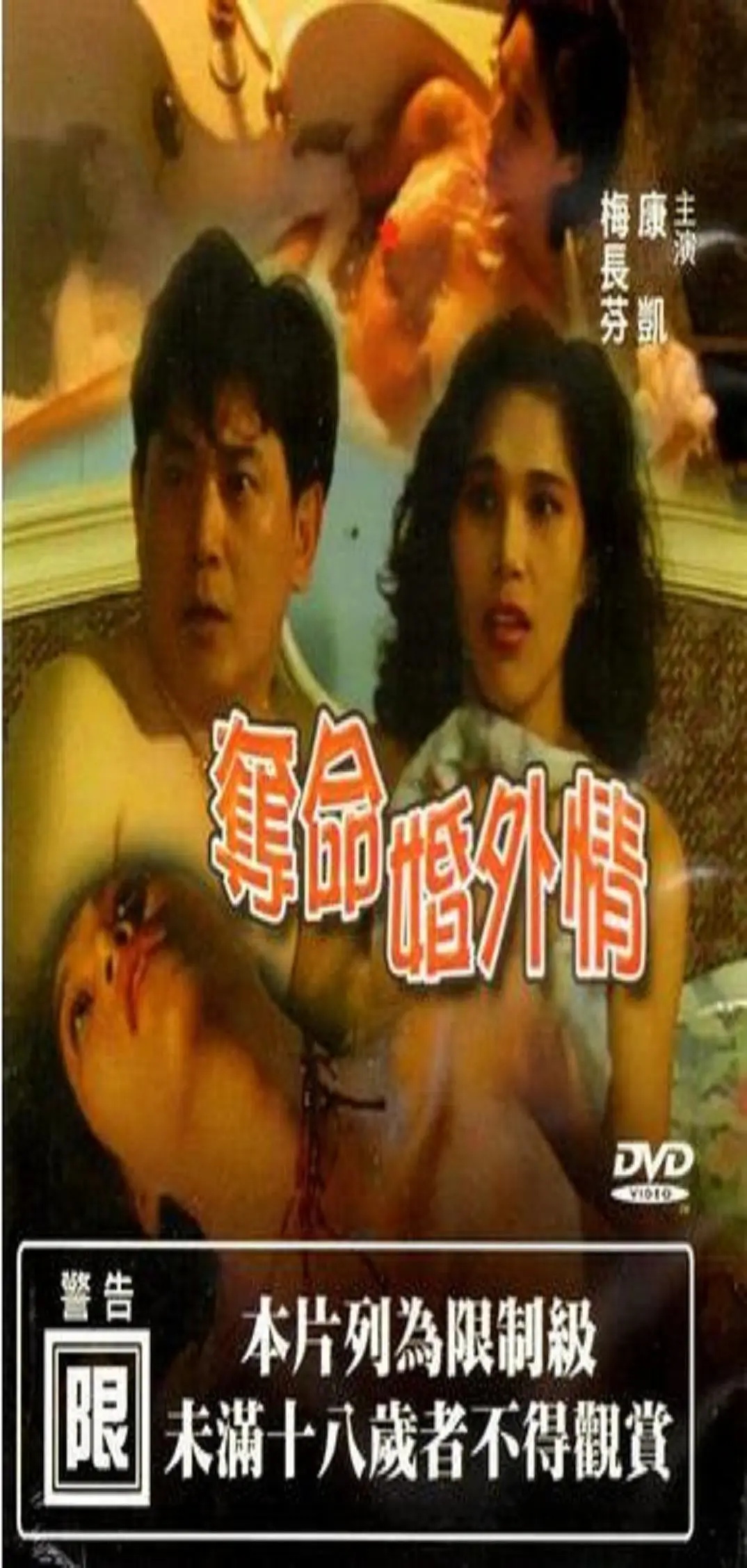 夺命婚外情1993封面图
