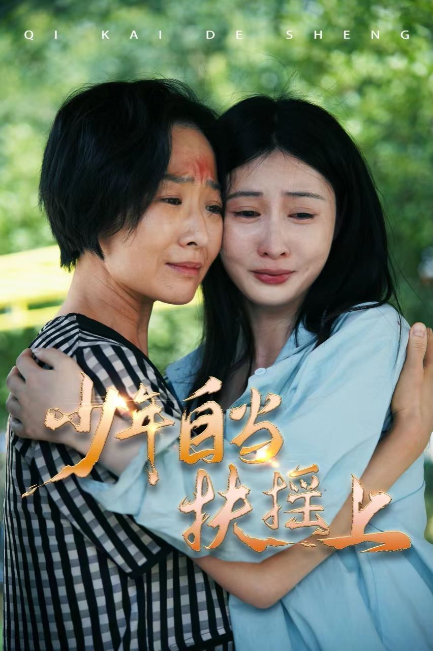 少年自当扶摇上封面图