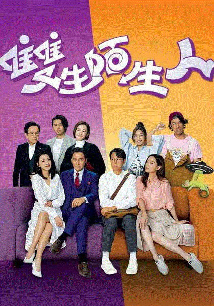 双生陌生人(粤)封面图