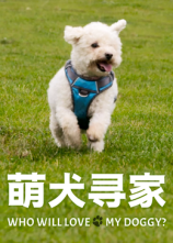 萌犬寻家封面图