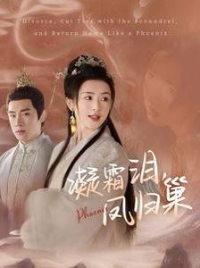 凝霜泪凤归封面图