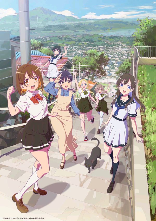 少女如草花绽放封面图