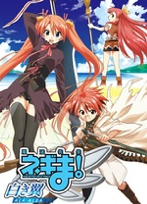 魔法老师！～白色之翼 ALA ALBA～封面图