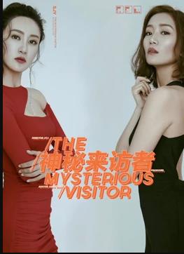 神秘来访者封面图