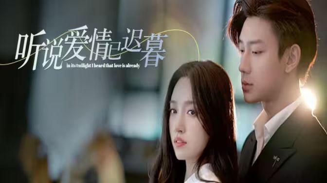 听说爱情已迟暮封面图