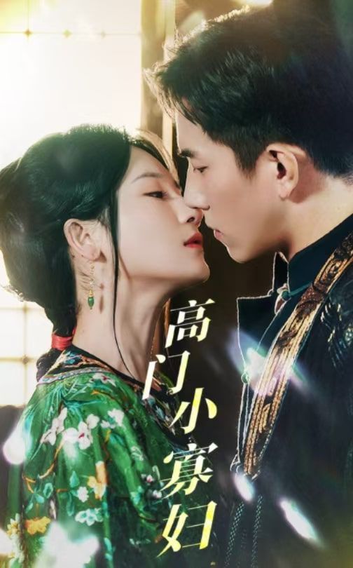 高门小寡妇封面图