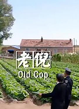 老倪封面图