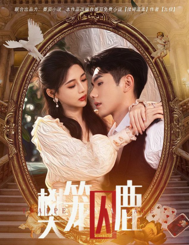 偏执大佬的金丝雀 樊笼囚鹿封面图