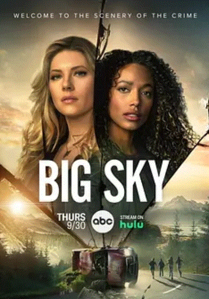 天空市凶杀案第二季封面图