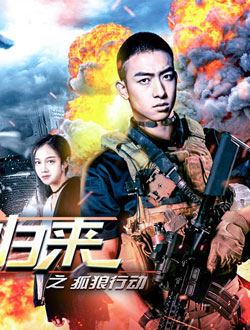 兵王归来之孤狼行动封面图