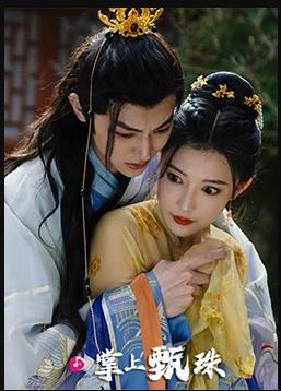 掌上甄珠封面图