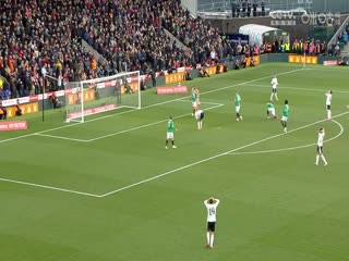 足总杯第四轮比赛 唐卡斯特VS水晶宫 20250211封面图