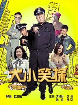 大小笑探封面图