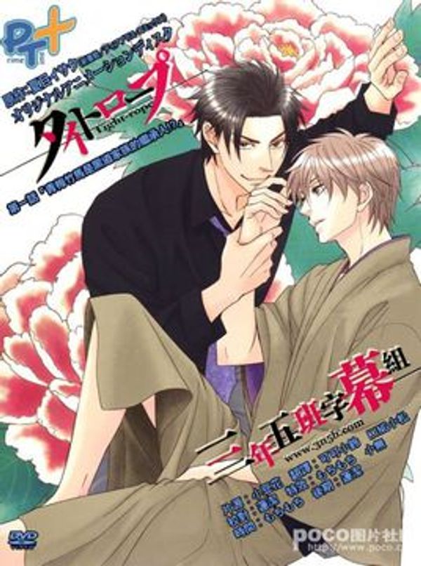 钢索危情封面图