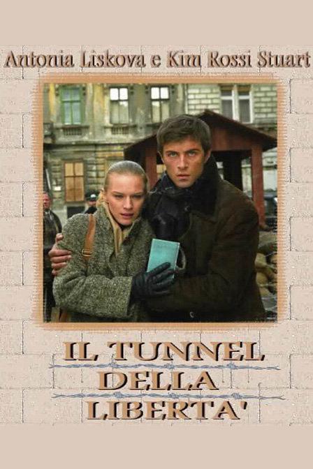 自由隧道封面图