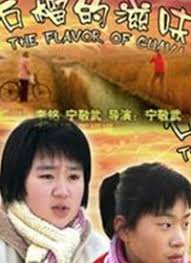 石榴的滋味封面图