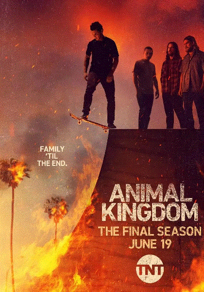 野兽家族第6季封面图