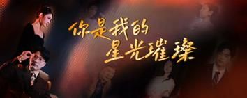 你是我的星光璀璨封面图