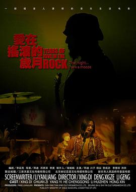 爱在摇滚的岁月封面图