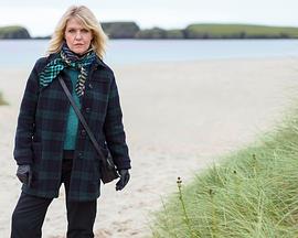 设得兰谜案第九季封面图