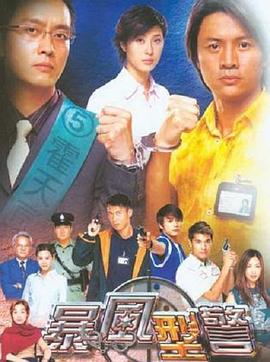 暴风刑警粤语封面图