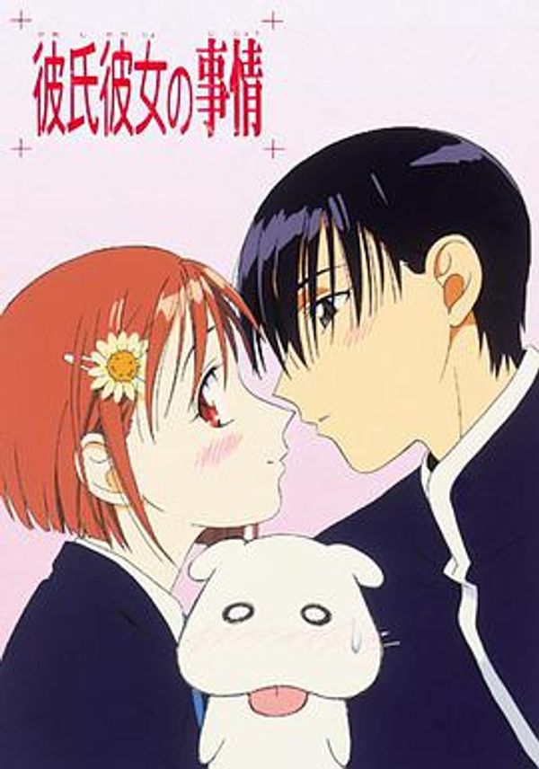 他和她的事情封面图