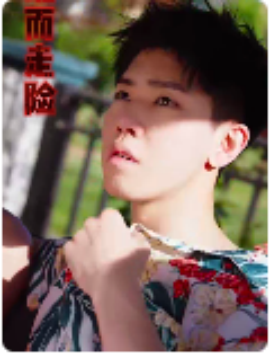 铤而走险 步步高升 幸福人生封面图