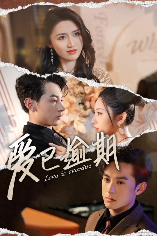 爱已逾期 从此山海不相逢封面图
