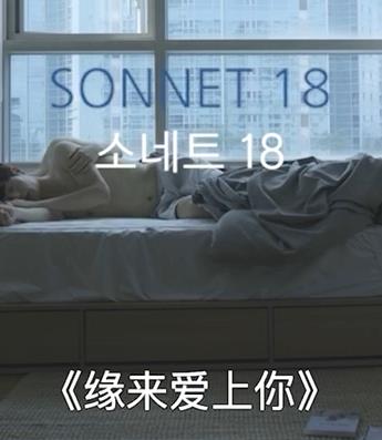 缘来爱上你封面图