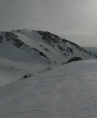日本印象派通往白山花田的路封面图