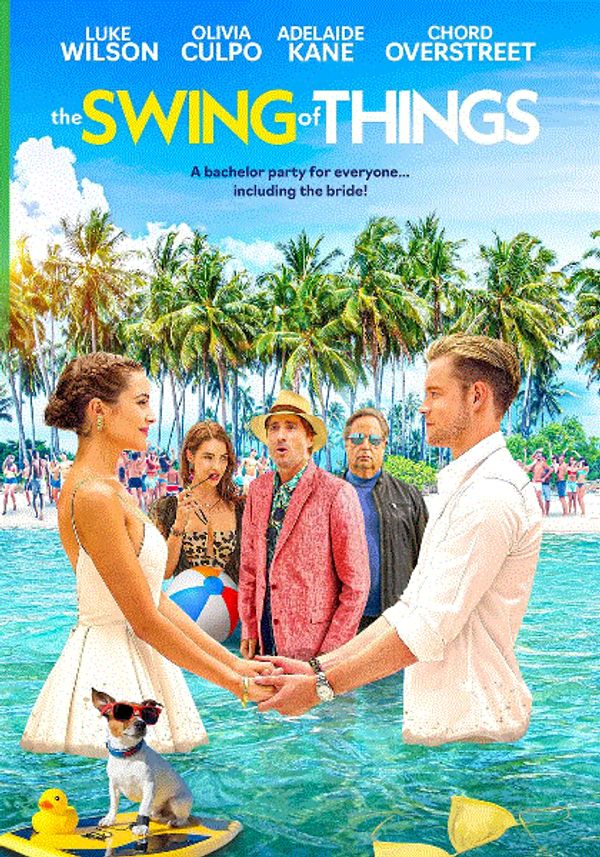 事物的摆动封面图