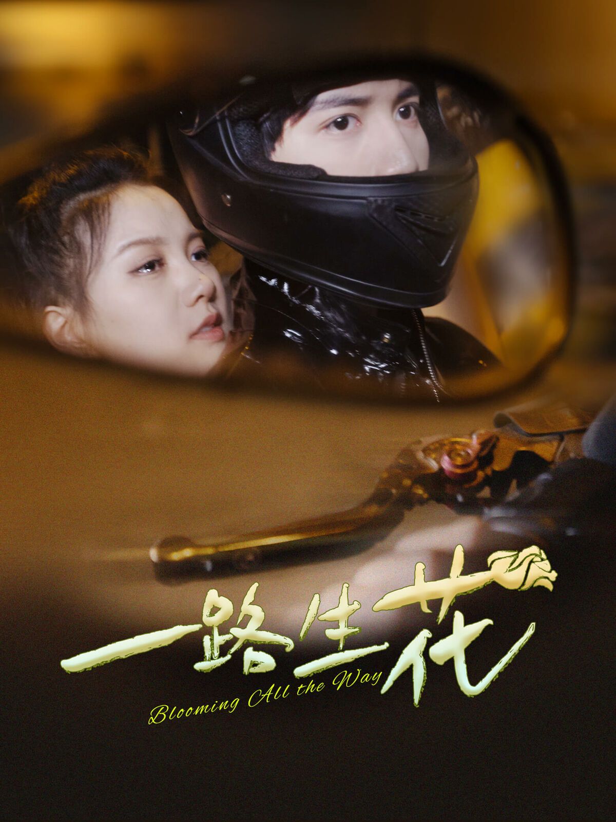 一路生花封面图