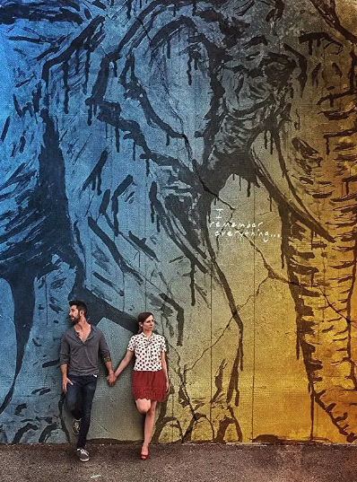 熟视无睹封面图