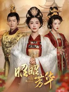 昭昭芳华封面图