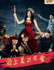 爱上美丽千金封面图