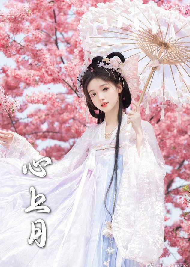 为凰 心上月封面图