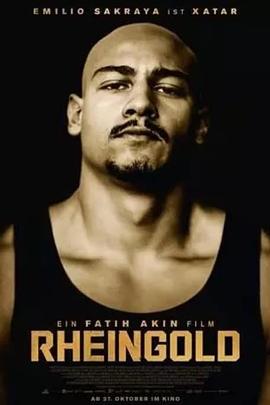 莱茵金2022封面图