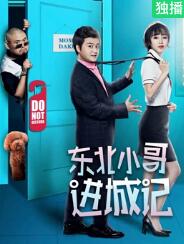 东北小哥进城记封面图