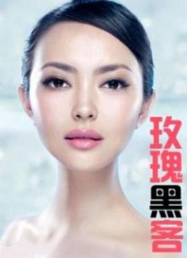 玫瑰黑客封面图