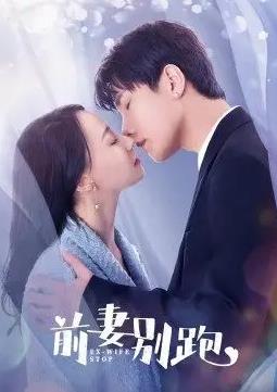 前妻别跑封面图