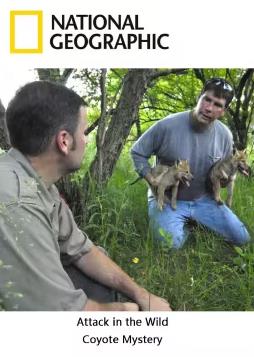 野外攻击封面图