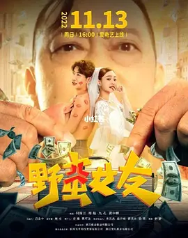 野蛮女友封面图