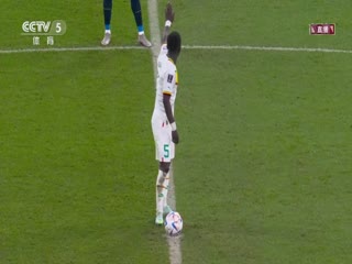 厄瓜多尔VS塞内加尔封面图