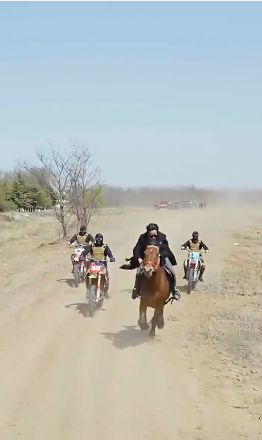 镇世天骄封面图