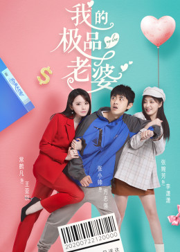 我的极品老婆第一季封面图